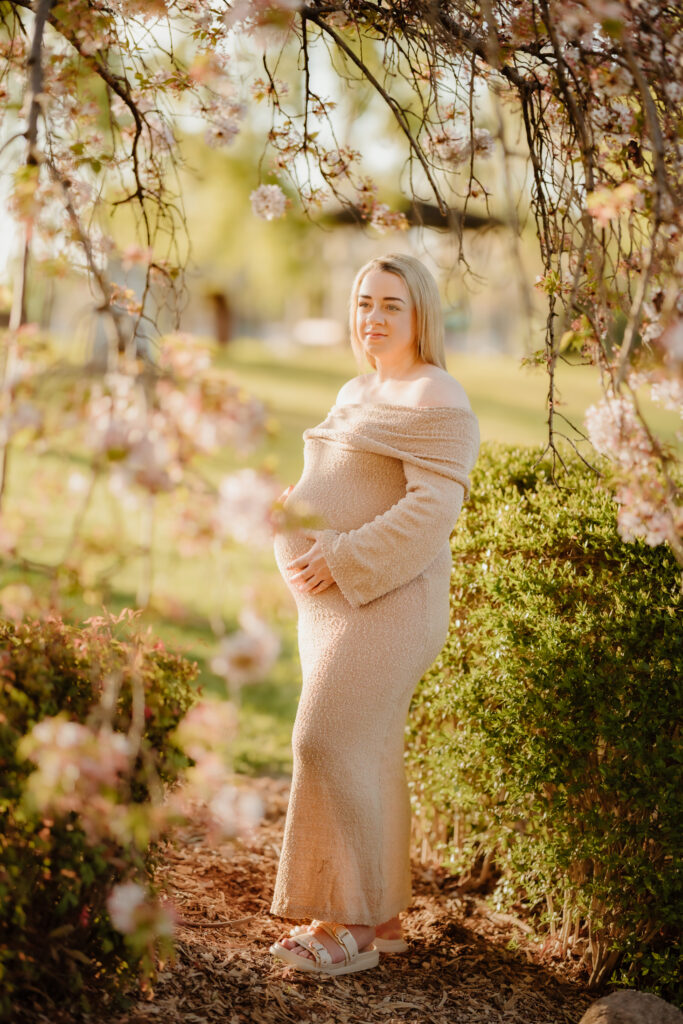 sunset Maternity photo at Ohkuma japanese gardens bathurst, pregnant is surrounded by cherry blossoms